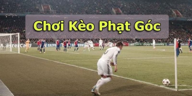 Những lý do mà người chơi tin chọn Corner Betting