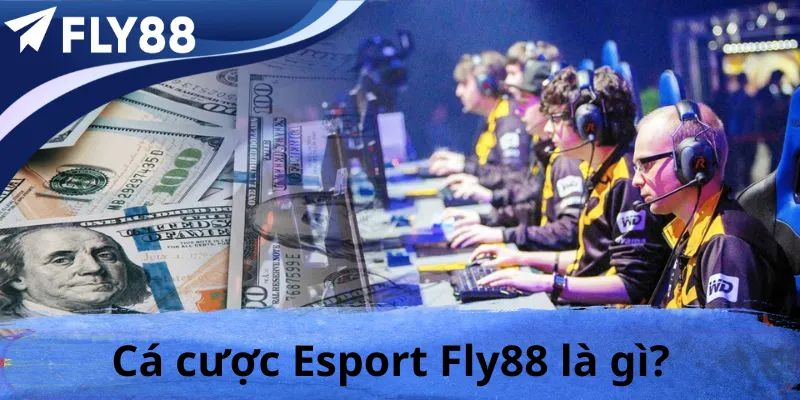 Esport Fly88 Là Gì?
